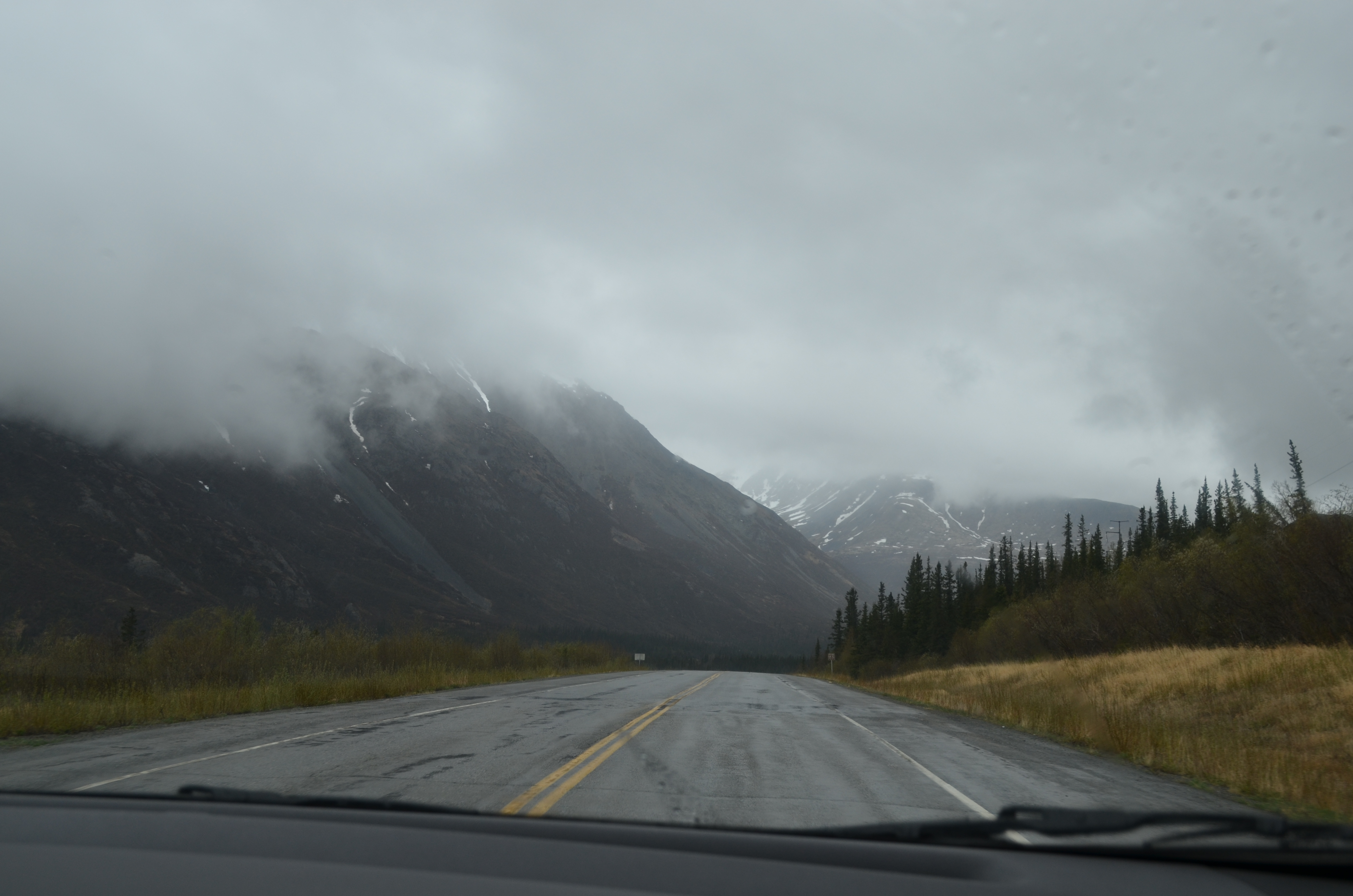 ./2017/08 - Alaska Cruise/03 - Denali/DSC_0100.JPG